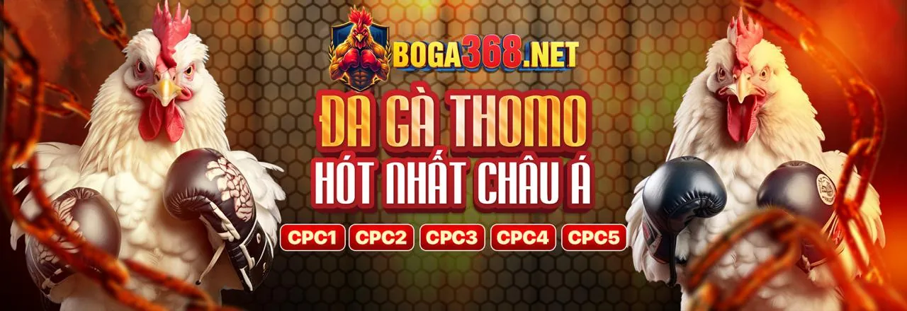 Các phương thức thanh toán an toàn tại M88 chính thức